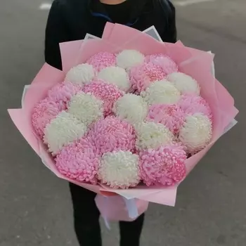 19 Белых И Розовых Хризантем Бигуди