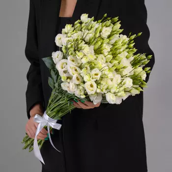 19 Белых Эустом