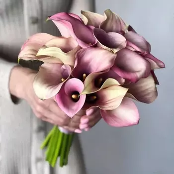 19 Бледно-Розовых Калл