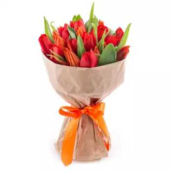 19 Красно-Оранжевых Тюльпанов