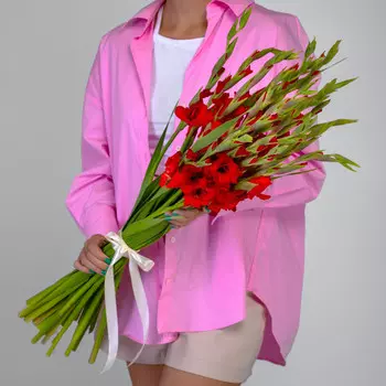 19 Красных Гладиолусов