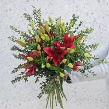 19 Красных Лилий