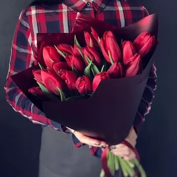 19 Красных Тюльпанов