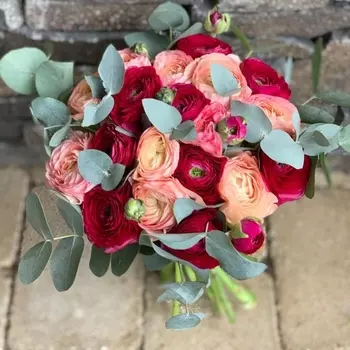 19 Малиновых и Коралловых Ранункулюсов