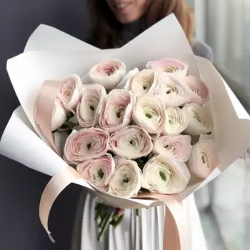 19 Нежно-Розовых Ранункулюсов