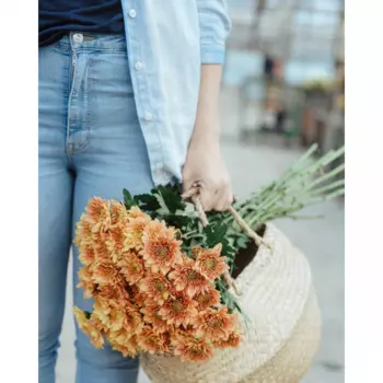 19 Оранжевых Хризантем