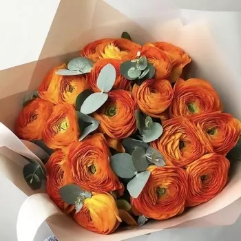 19 Оранжевых Ранункулюсов