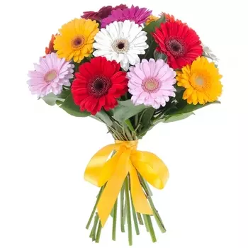 19 Гербер Микс с зеленью