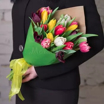 19 Разноцветных Пионовидных Тюльпанов