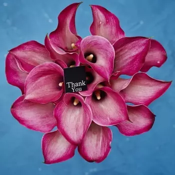 19 Розовых Калл