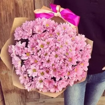 19 Розовых Кустовых Хризантем