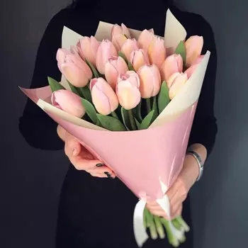 19 Розовых Тюльпанов