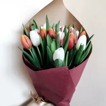 19 Тюльпанов Микс