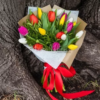 19 Тюльпанов Микс с зеленью