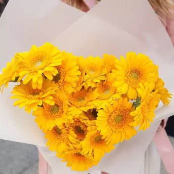 19 Желтых Гербер