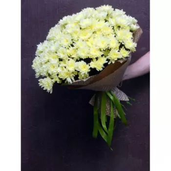 19 Кремовых Кустовых Хризантем