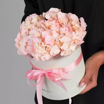 1 Розовая Гортензия в коробке