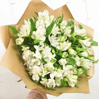 21 Белая Альстромерия