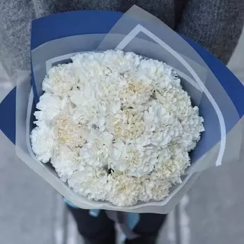 21 Белая Гвоздика