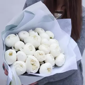 21 Белый Пион