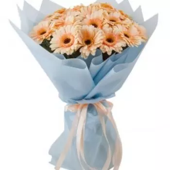 21 Гермини Cafe