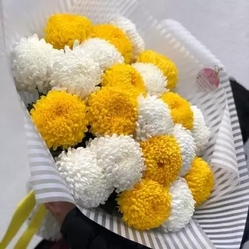 21 Желтая и Белая Хризантема Бигуди