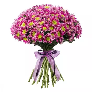 21 Кустовая Фиолетовая Хризантема
