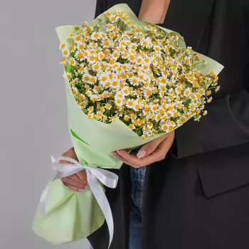 21 Кустовая Ромашка