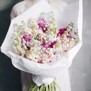 21 Разноцветная Маттиола