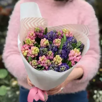 21 Разноцветный Гиацинт