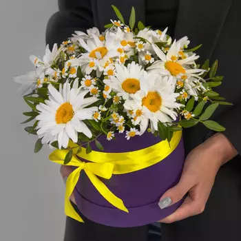 21 Ромашка Микс в коробке