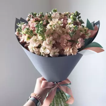 21 Светло-Коричневая Маттиола