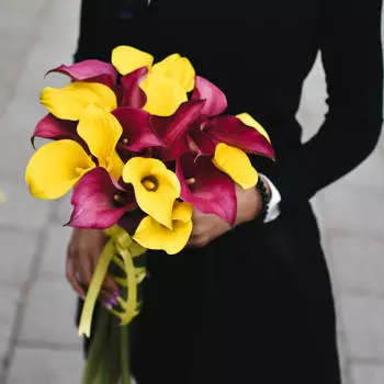 21 Желтая и Розовая Калла