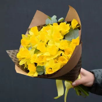 21 Желтый Нарцисс