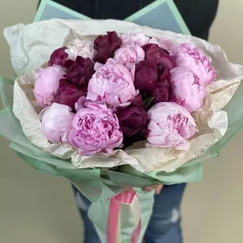 23 Нежных Пиона