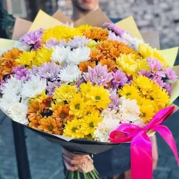 23 Разноцветные Кустовые Хризантемы