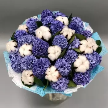 23 Синих Гиацинта