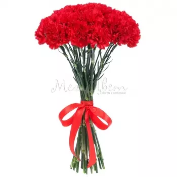 24 Красные Гвоздики