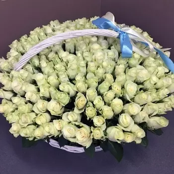 251 Белая Роза (30-40 см.) в корзине