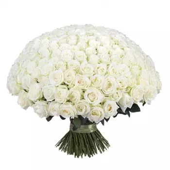 251 Белая Роза (60 см.)