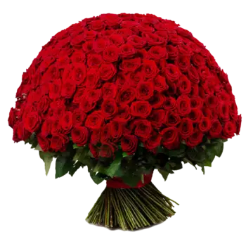 251 Красная Роза (60 см.)