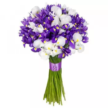 25 Бело-Синих Ирисов
