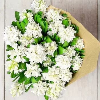 25 Белых Гиацинтов