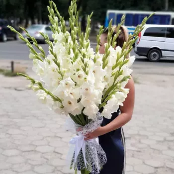 25 Белых Гладиолусов