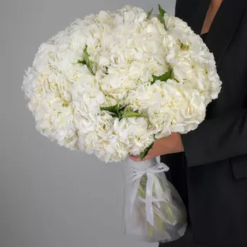 25 Белых Гортензий