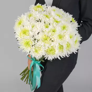 25 Белых Игольчатых Хризантем