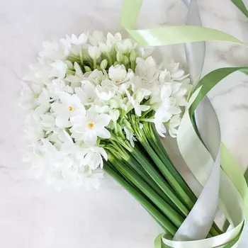 25 Белых Кустовых Нарциссов