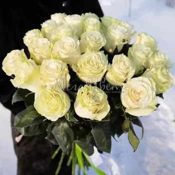 25 Белых Роз (60 см.)