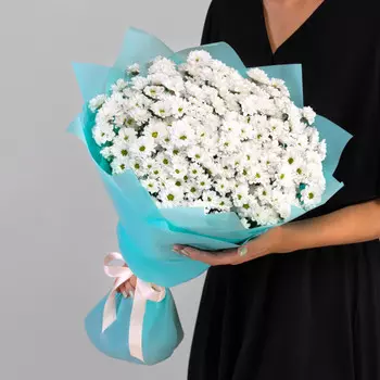 25 Белых Сантини Ромашка