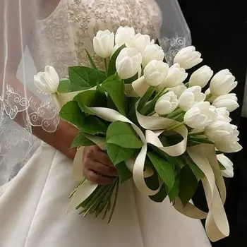 25 Белых Тюльпанов в букете невесты
